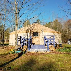 A yurt with blue doors and steps leading to it.