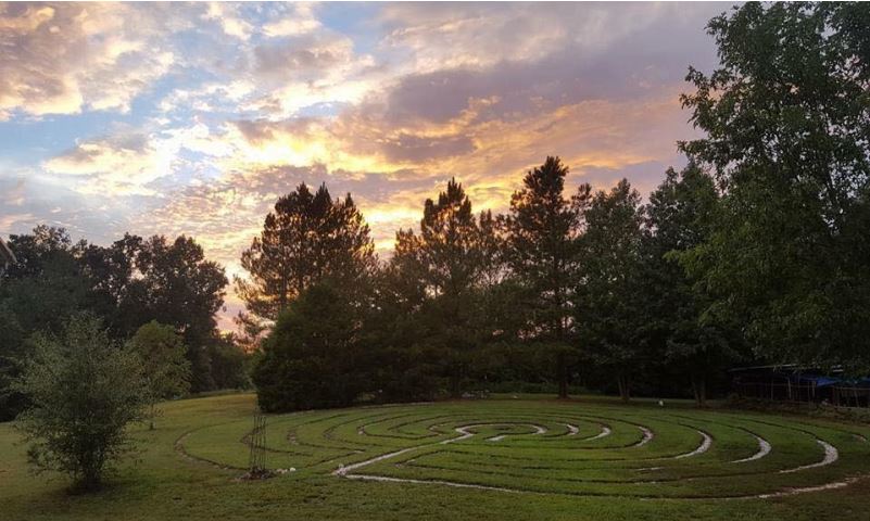 A field with trees and clouds in the sky.