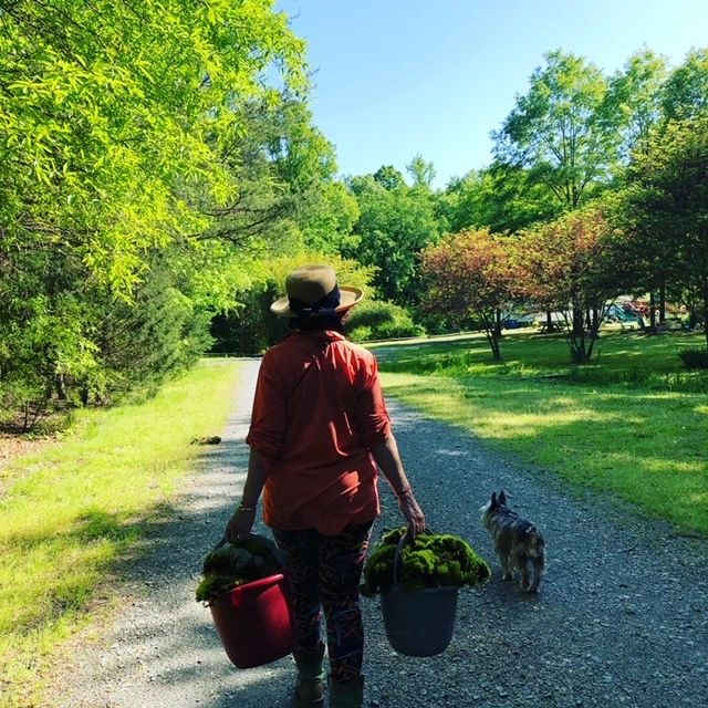 A woman walking down a path with buckets of vegetables.