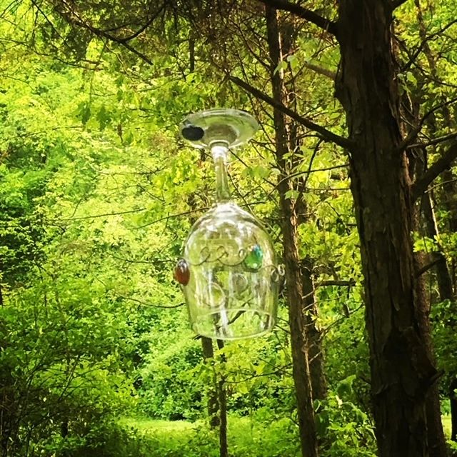 A wine glass hanging from a tree in the woods.
