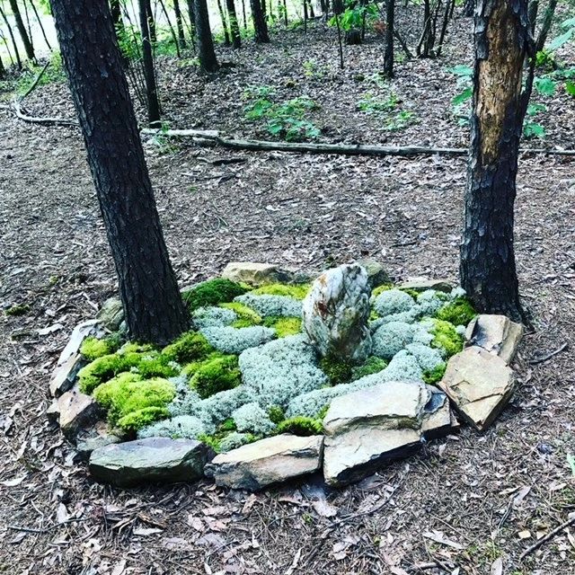 A moss covered rock in the middle of a wooded area.