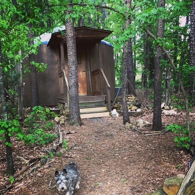 A dog is standing next to a yurt in the woods.